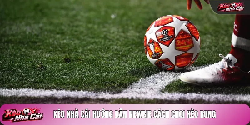 Kèo nhà cái hướng dẫn newbie cách chơi kèo rung